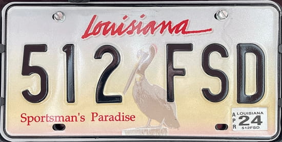 License plate scheme