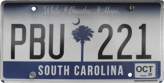 License plate scheme