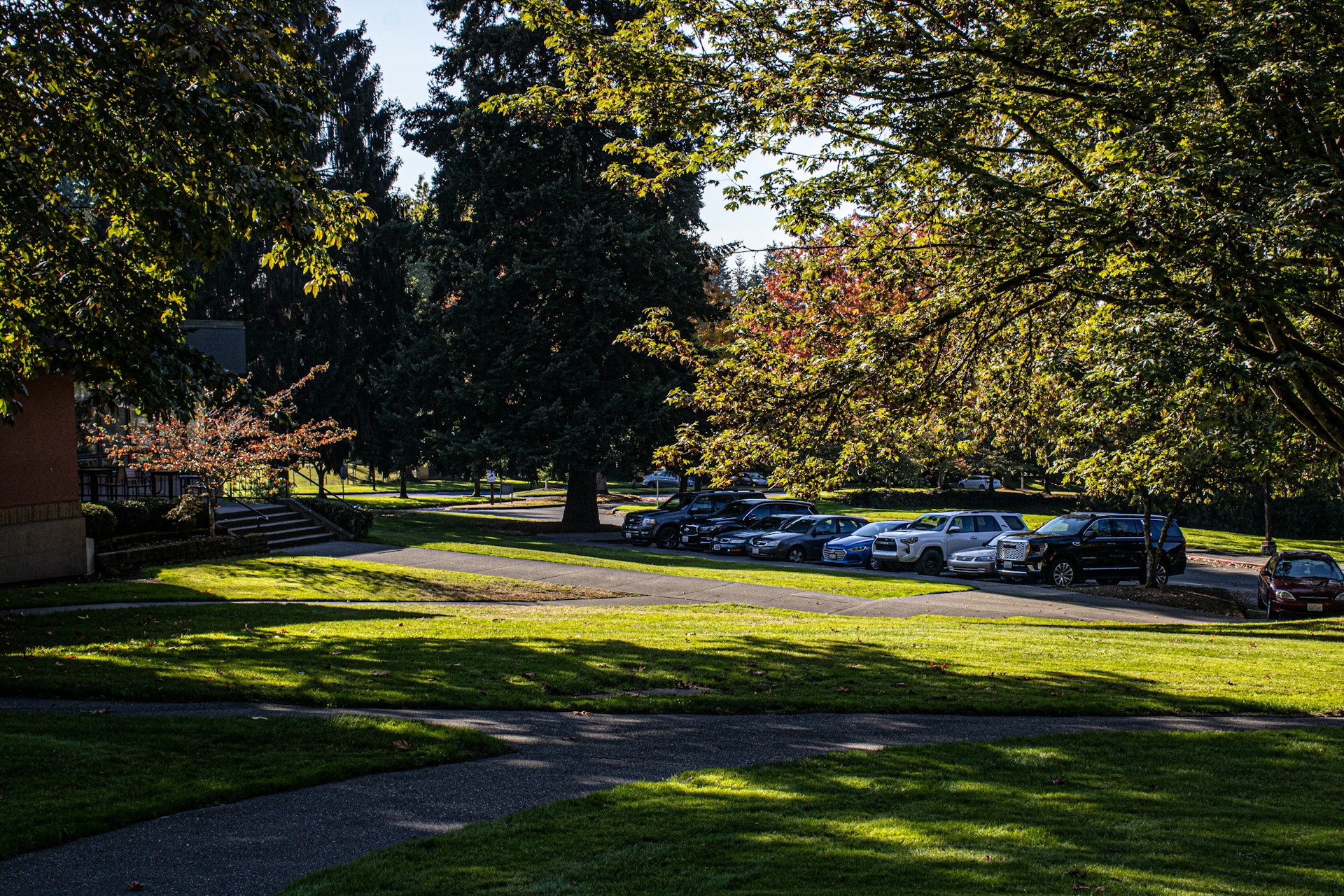 cars parked near a college campus