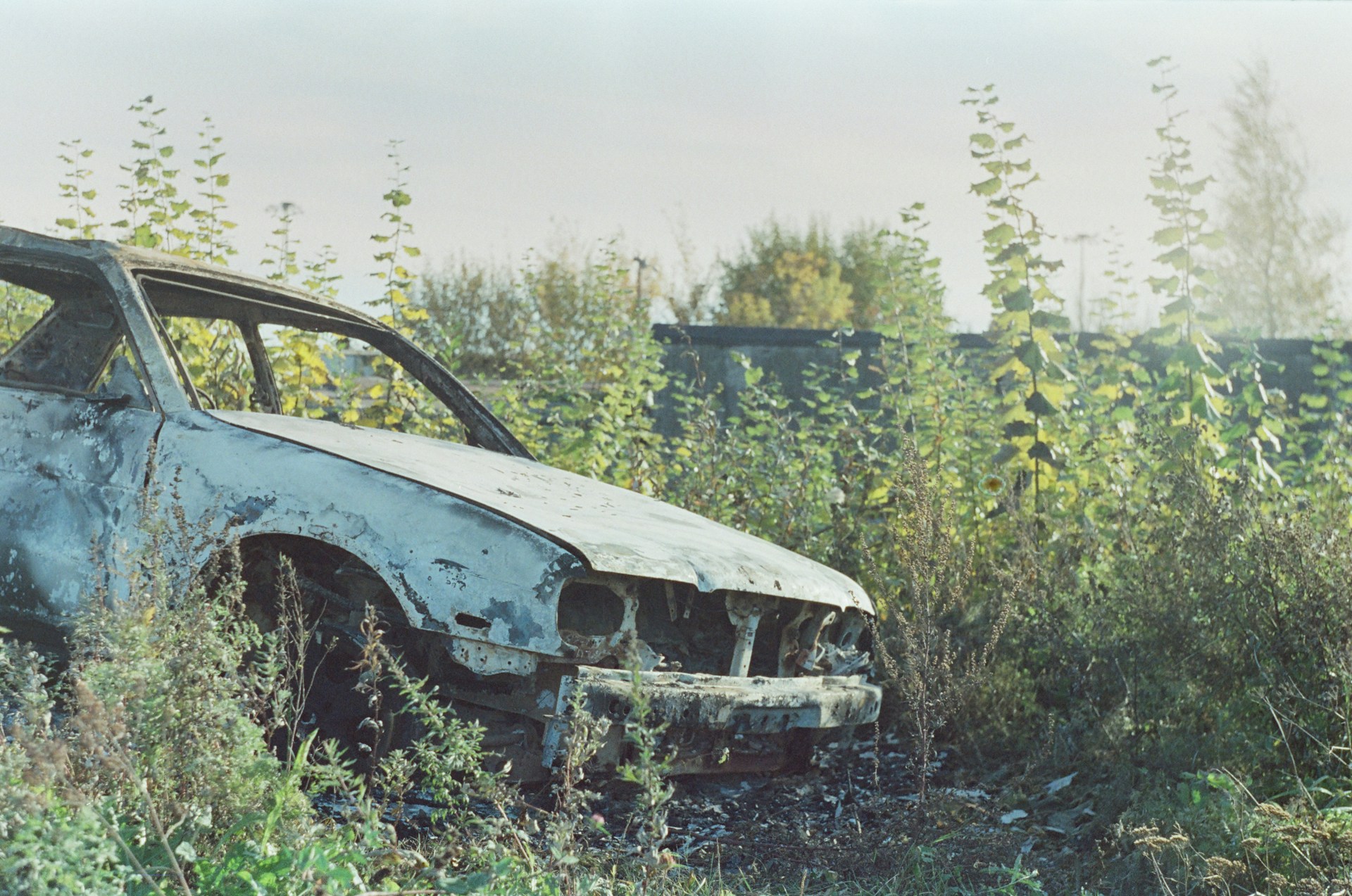 abandoned burnt car
