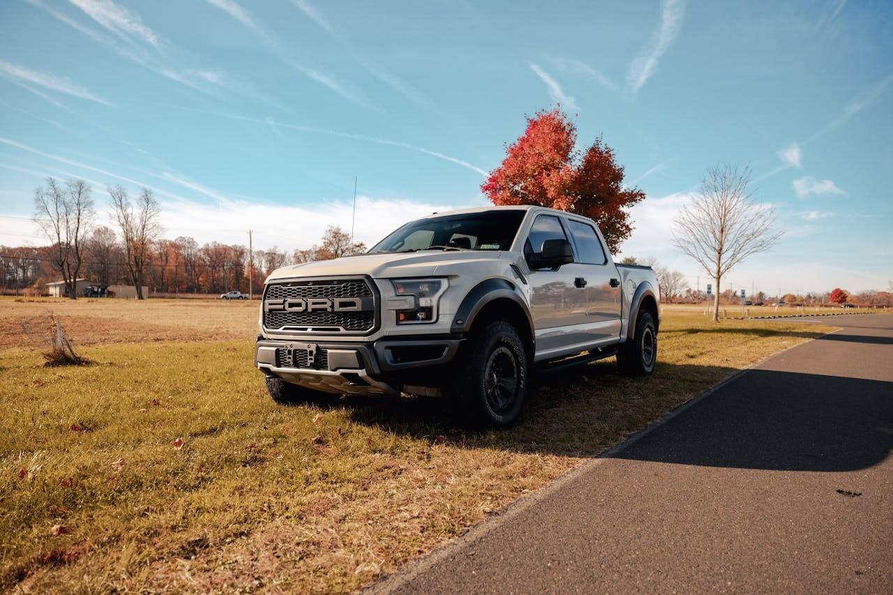 a Ford pickup truck near a tree