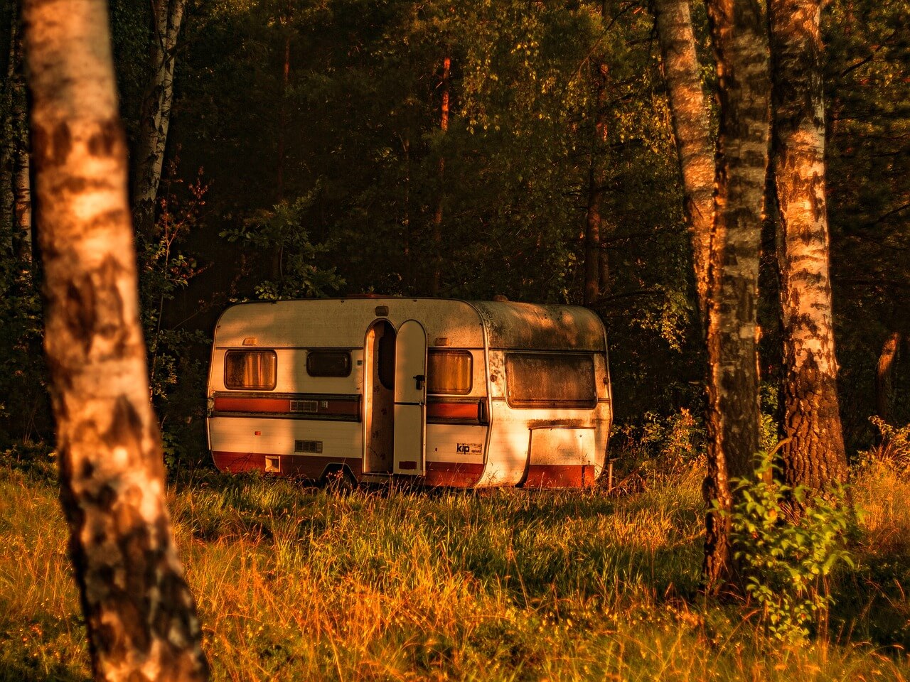 a rusty trailer left in the forest