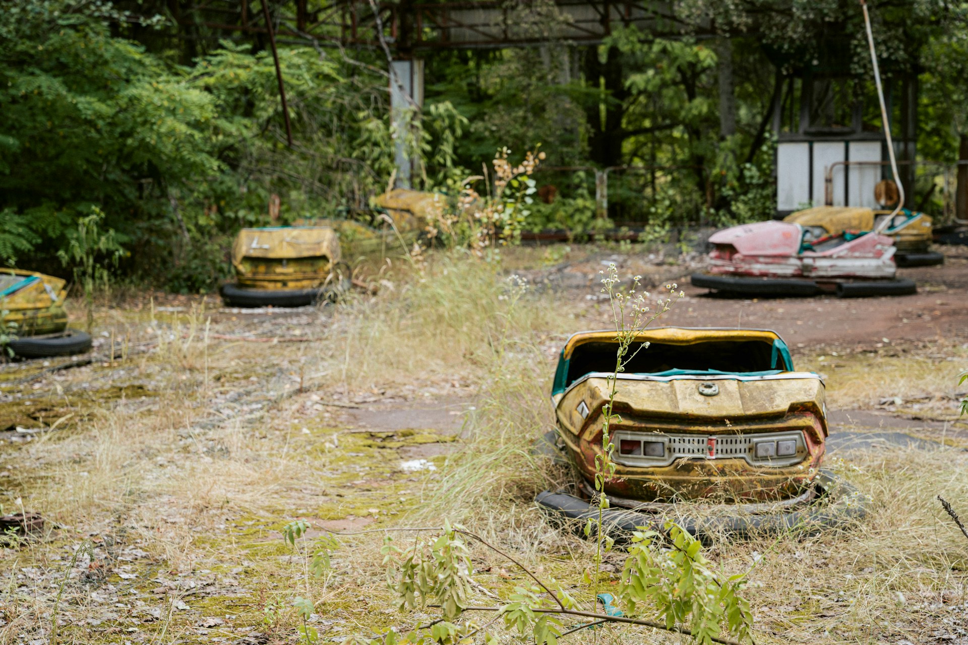 desguace de coches abandonado