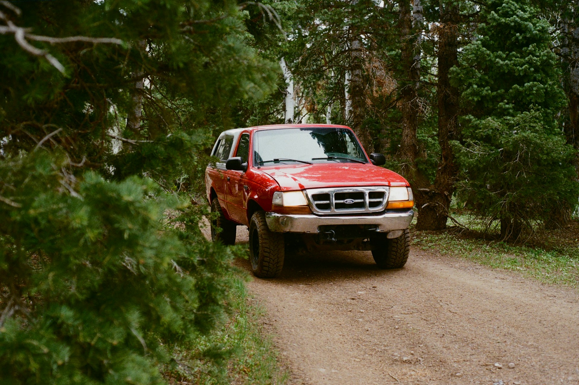 large Ford SUV in the forest