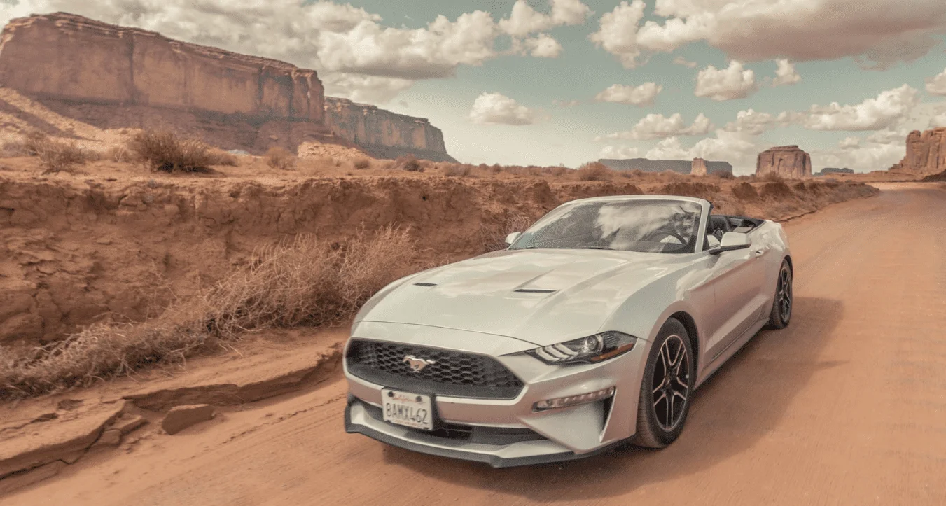 White Mustang in the desert